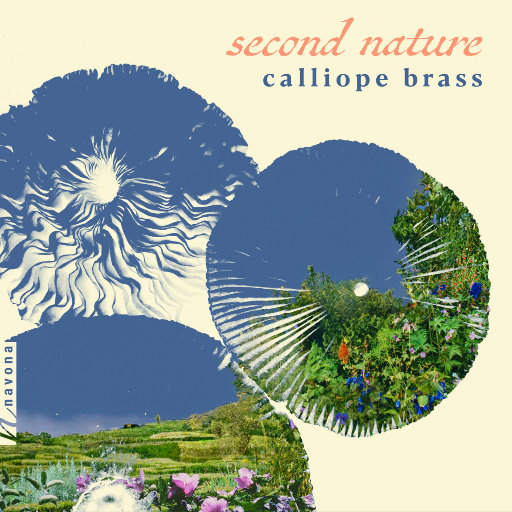 百庋度搜索欧洲老太婆与孙子乱伦视频
